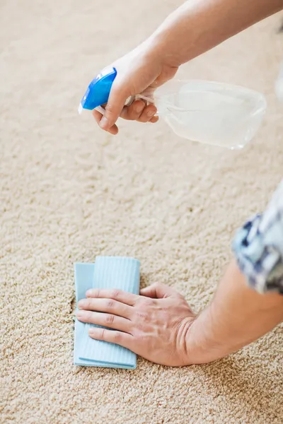 About Maple Carpet Care